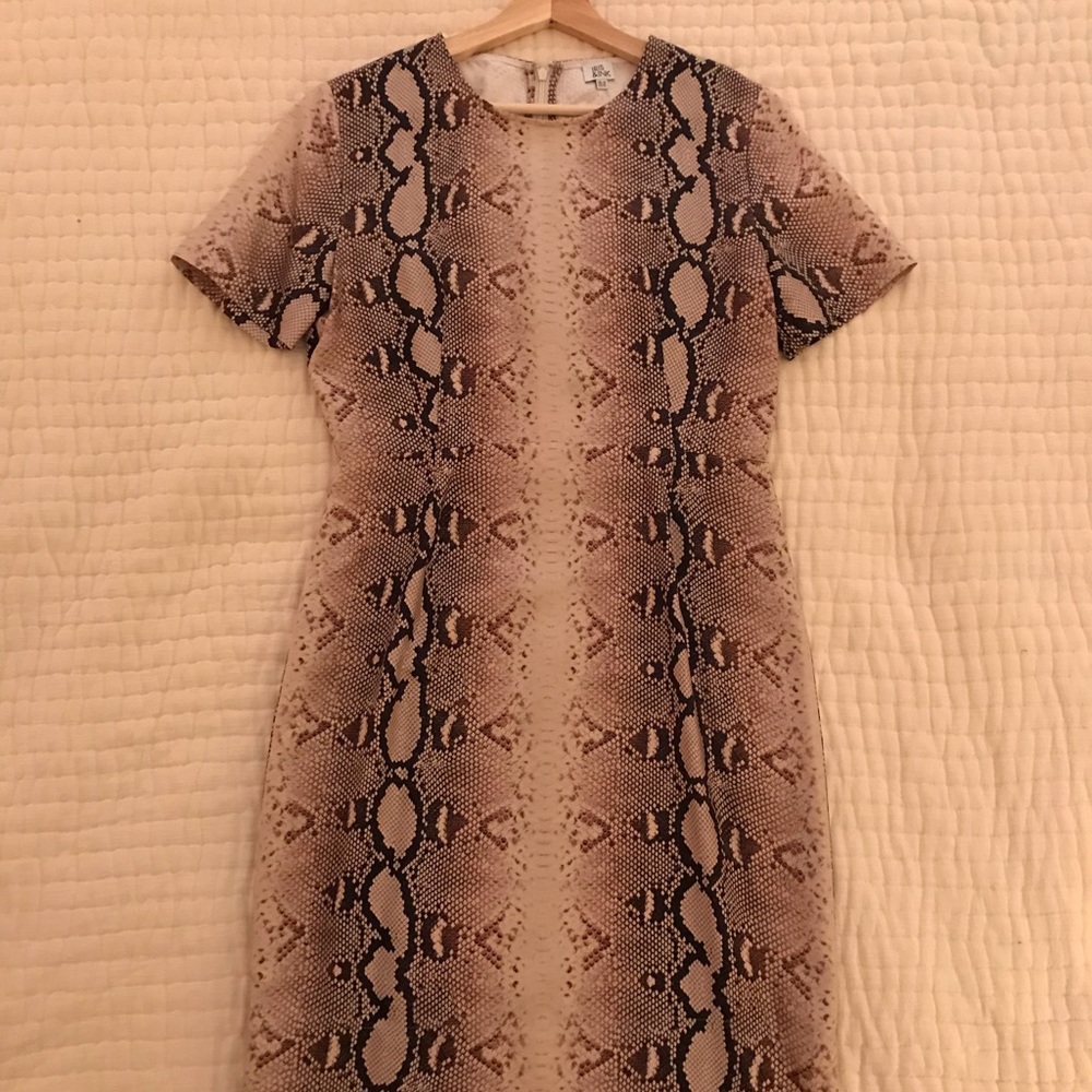 Knee length, silk, snake print dress